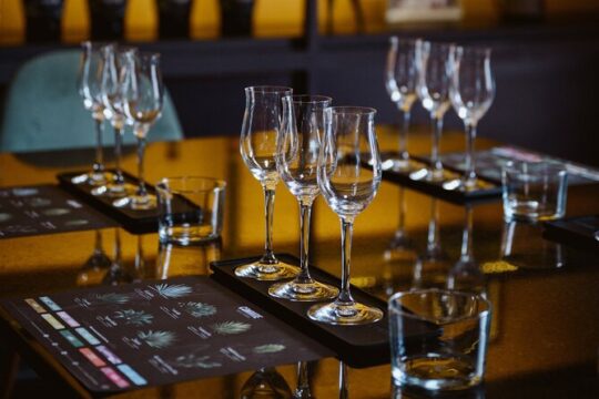 Tasting of Mezcal with the best selling brand in Oaxaca