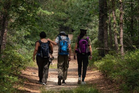 Fox Canyon Adventure Trek: Los Cabos Full-Day Tour