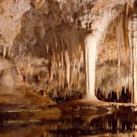 Cultural Tours