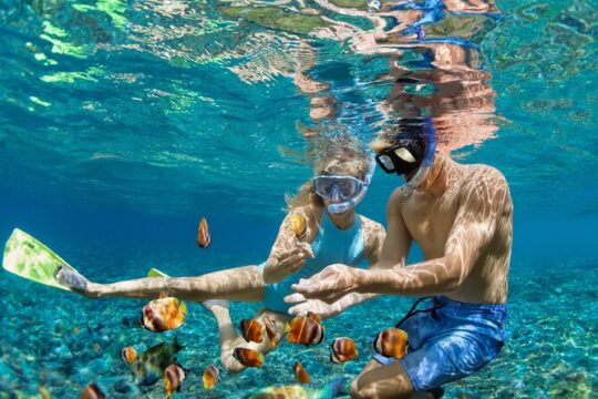 Sailing and Snorkeling Private Tour in Fajardo