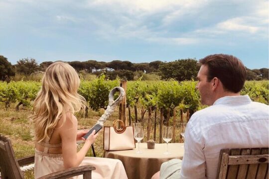 1/2 day private Vintage tour, vineyards of Saint-Tropez
