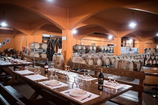 Heraklion Half-Day Tour | Cruise Friendly | Knossos & Top Sights