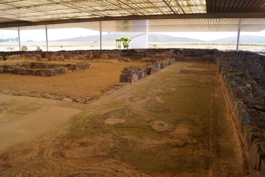 Time Traveller Full Day Tour from Évora by Archaeologists