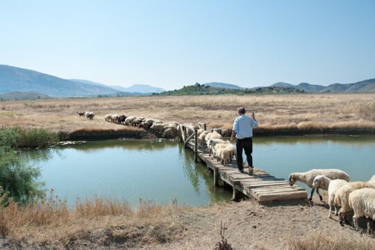 Albania - Butrint and Saranda or Blue Eye: Private Day trip