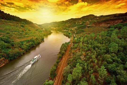 Porto: Day Trip to Douro including lunch and Rivercruise