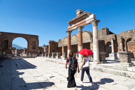Private tour of Pompeii archaeological site with skip-the-line entry