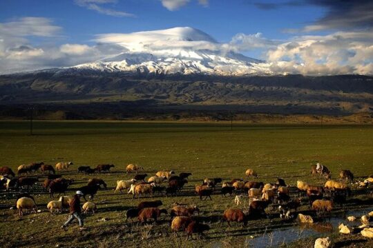 Eastern Turkey 12-Day Sightseeing Tour from Trabzon