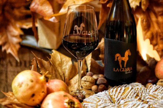 Wine Tasting with Food in Sardinia
