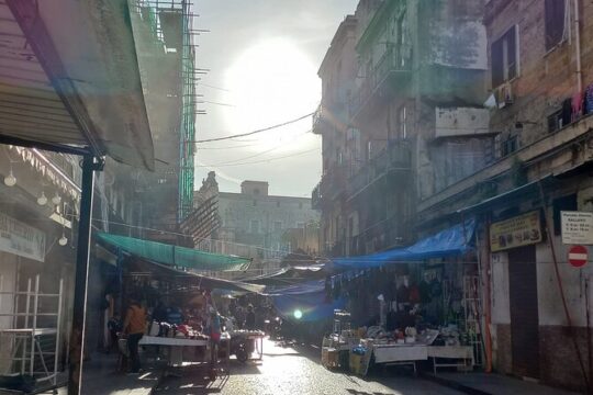 3-hours Street Food Bike Tour in Palermo