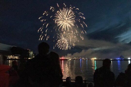 New Year's Eve Fireworks Cruise in Reykjavik