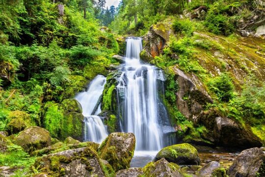 Trip from Zurich to Germany's Black Forest & Swiss Rhine Falls