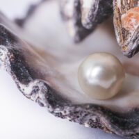 Classes & Workshops