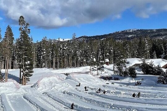 Full Day Private Lake Tahoe Tour from Oakland