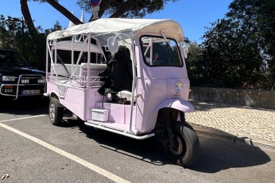 Private 2 Hours Tuktuk Tour to Sintra