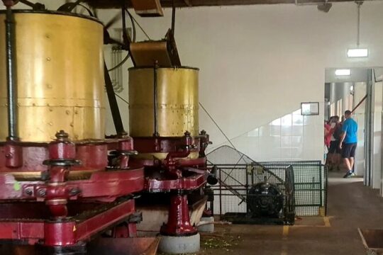 Furnas Volcano Private Full Day Tour