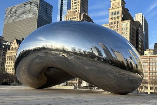 Chicago Highlights Private Walking Tour with a Guide