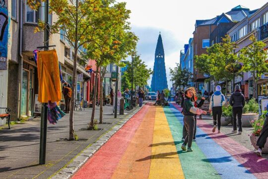Reykjavik City Half Day Private Tour