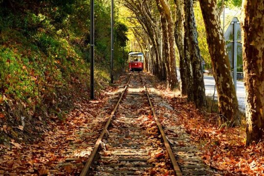 Eat, Wine, Love and Jeep in Sintra