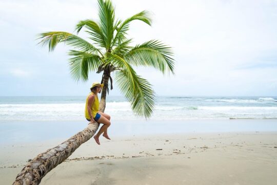 Coastal Tour of Trinidad