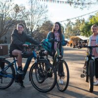Bike Rentals