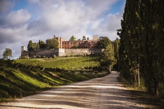 Siena and Chianti Country with Lunch&2WineTastings from Florence
