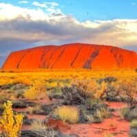 Private Sightseeing Tours