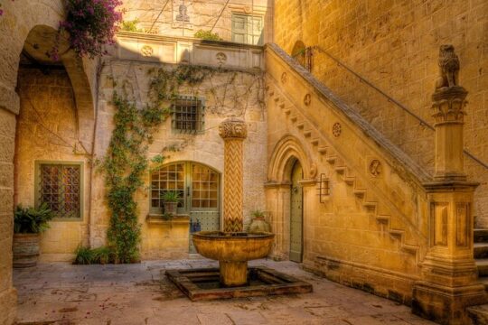 Palazzo Falson Historic House Museum entrance ticket