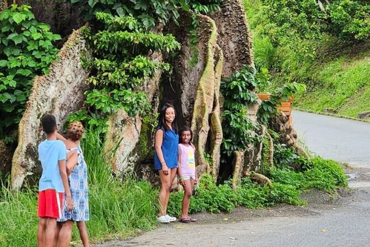 Half Day Tobago Tours with Transfers