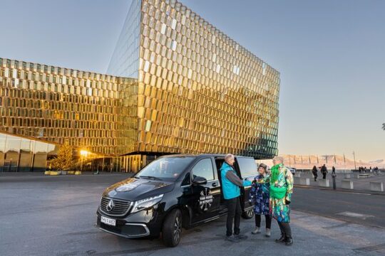 Private 6 Hour Airport or Cruise Tour with Transfer