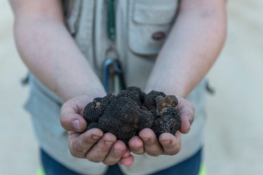 Truffle Hunting & Truffle Cooking Class