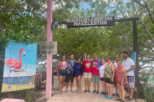 Excursion to Celestun, Swimming, Hiking & Boat Ride