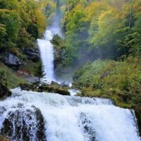 Cruises, Sailing & Water Tours