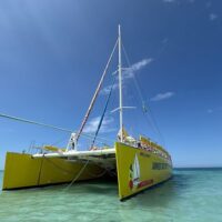 Day Cruises