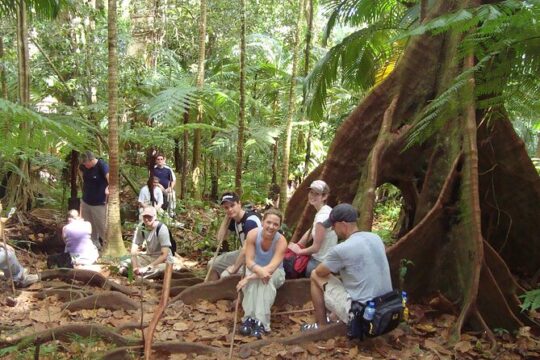 The Kittitian Rainforest Adventure (with Snacks)