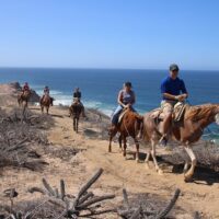 Horseback Riding