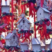 Holiday & Seasonal Tours
