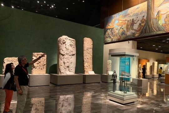 Visit the Anthopology Museum with an expert