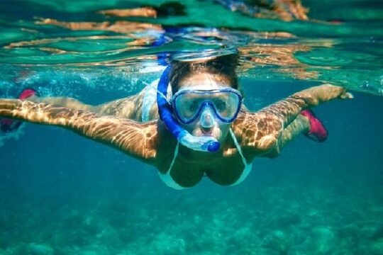 Snorkeling Experience in Cabo San Lucas