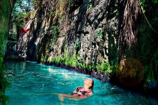 Visit Xcaret Plus & Night Live Show & Buffete & Transportation only from Tulum