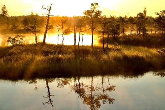 Sunrise at Kemeri National Park