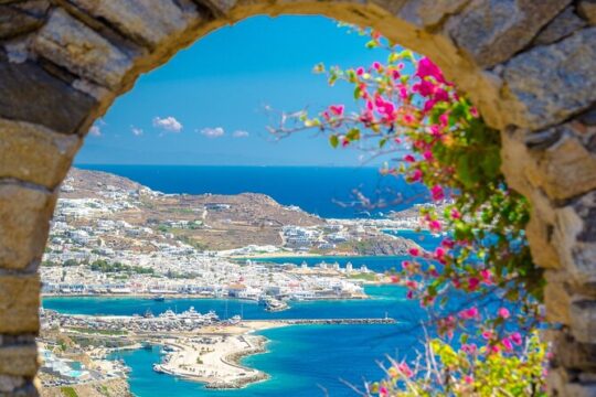 Full Day Private Shore Tour in Mykonos from Mykonos Cruise Port