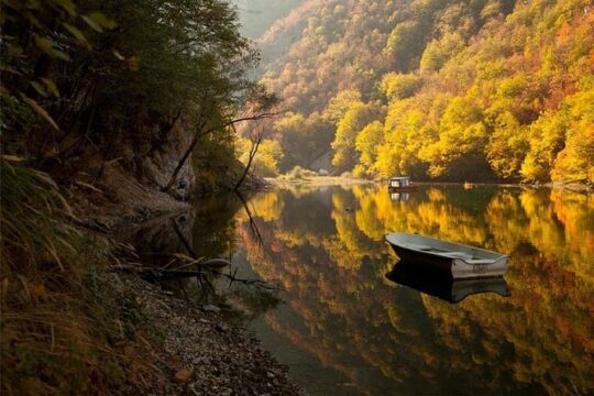 Full Day Trip from Belgrade: The Drina River House And Tara Park Tour
