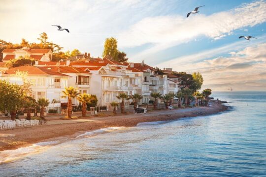 Private Tour Princes Islands Full Day from Istanbul