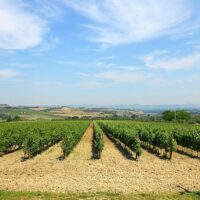 Walking Tours