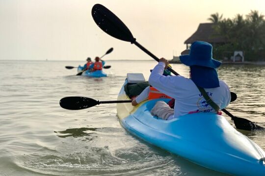 Tour the Mangroves in Kayak by Isla Holbox