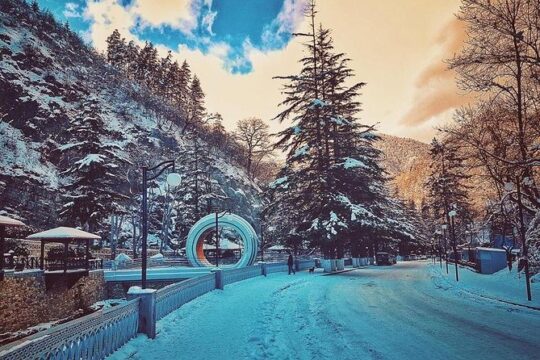 Borjomi-Bakuriani-Private day trip from Tbilisi