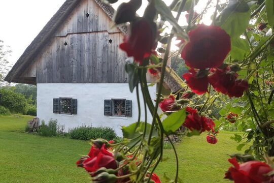 Private Tour in Kamnik - Mammoth - Farmhouse and Organic Farm