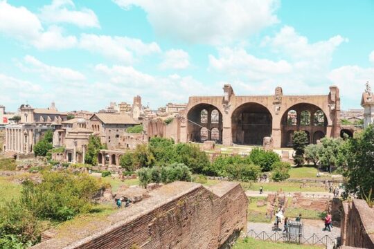 Domus Tiberiana and Ancient Rome Exclusive Guided Tour