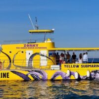 Full-day Tours
