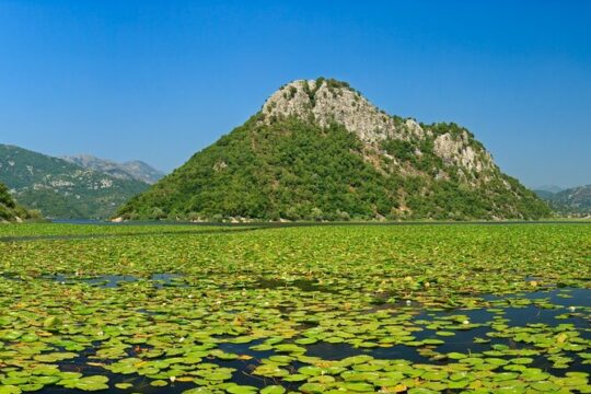 Skadar Lake day trip from Herceg Novi